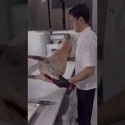Куй Суйиш Коидалари