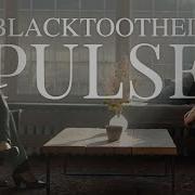 Pulse Blacktoothed