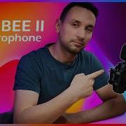 King Bee 2022