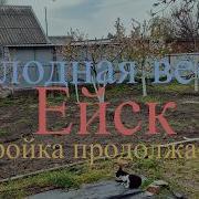 Андрей Цинкевич