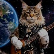 Вивальди Шторм Cover Коты Жгут Новый Хит 2026