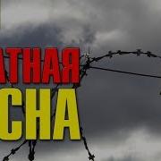 Блатная Весна