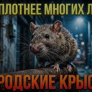 Зов Охотника