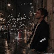 Liam Jai Besin De Toi