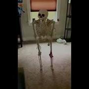 Skull Sound Meme