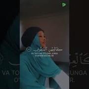 Hafizi Quran