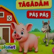 Tagadam Pas Pas
