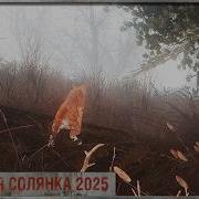 Грсавояры