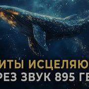 Пение Китов Медитация