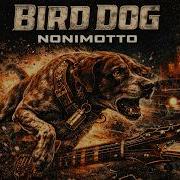 Nonimotto Bird Dog