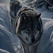 Совесть Не Купить