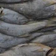 Рома Жиган Все Песни