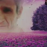 Хонум Хонум