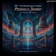 Trp A Psychedelic Journey