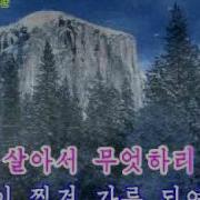 남산의푸른소나무