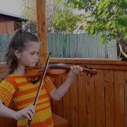 Тиличеева Собачка