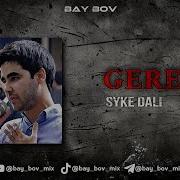 Syke Dali 2025