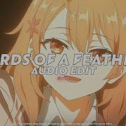 Birds Of The Feather Edit Audio