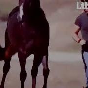 Отлар Хакида Кушиклар