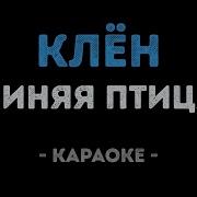 Там Где Клен Шумит Минус