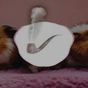 Hamster Song Bass Boosted