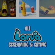 Screaming Again Larva Red