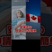 簡単な安楽死