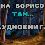 Борис Акунин Там
