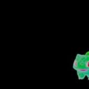 Bulbasaurtheplantpokemon Split 1