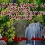 Мухаммад Маъруфи Росих