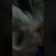 Кира Встовай