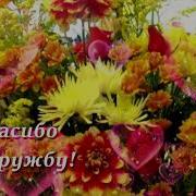 Спасибо За Дружбу