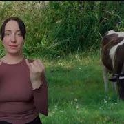 Дай Молочка Буренушка