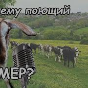 Поющий Фермер