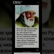 Чалолидини Румми