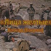 Лица Желтые