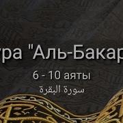 Бакара Сураси 6 10