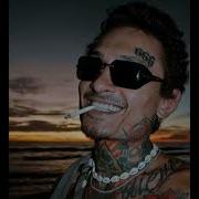 Цветок Моргенштерн Минус