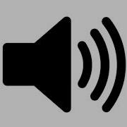 Voice Tag