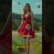 Bum Ластівки На Сонці