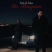 Tefo