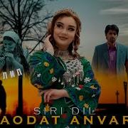 Саодат Анвари