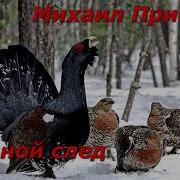 Двойной След Пришвин