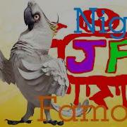 Rio Nigel Tribute Famous