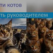 Как Пасти Котов Часть