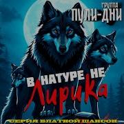 Налетчики Пули Дни
