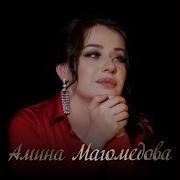 Амина Эле Ле Эле Ле