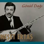 Neset Gonul Dagi