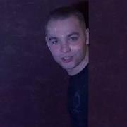 Олег Пахомов Лебеди