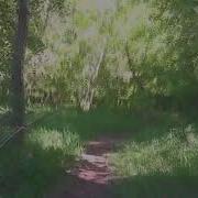 Тропинка Узенькая Вьется Караоке